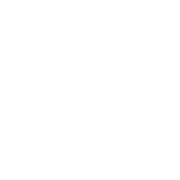 УЗИ